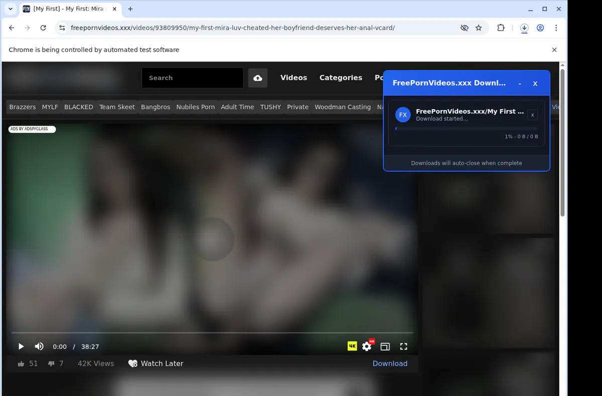 Freepornvideosxxx Video Downloader screenshot 2