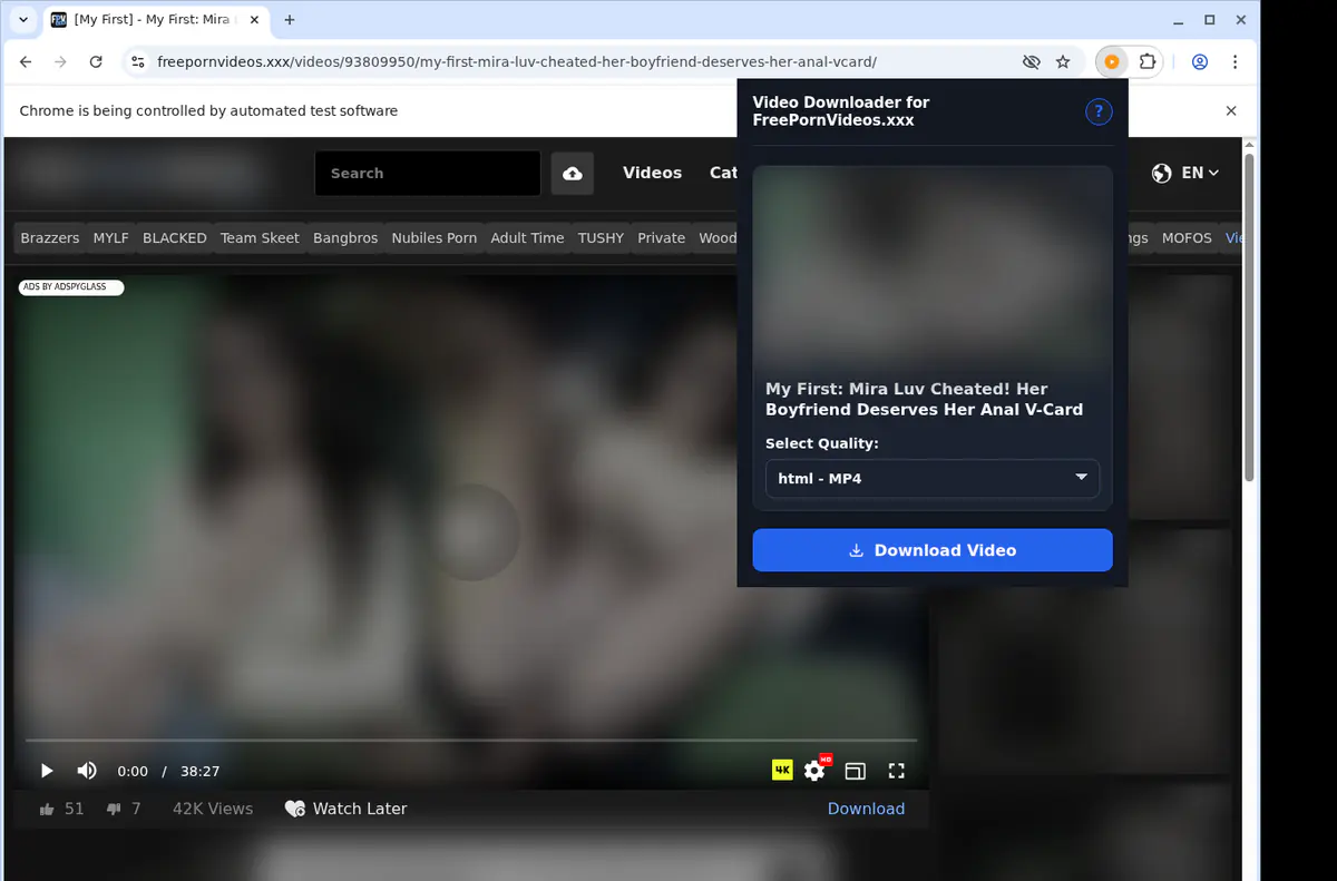 Freepornvideosxxx Video Downloader screenshot 3